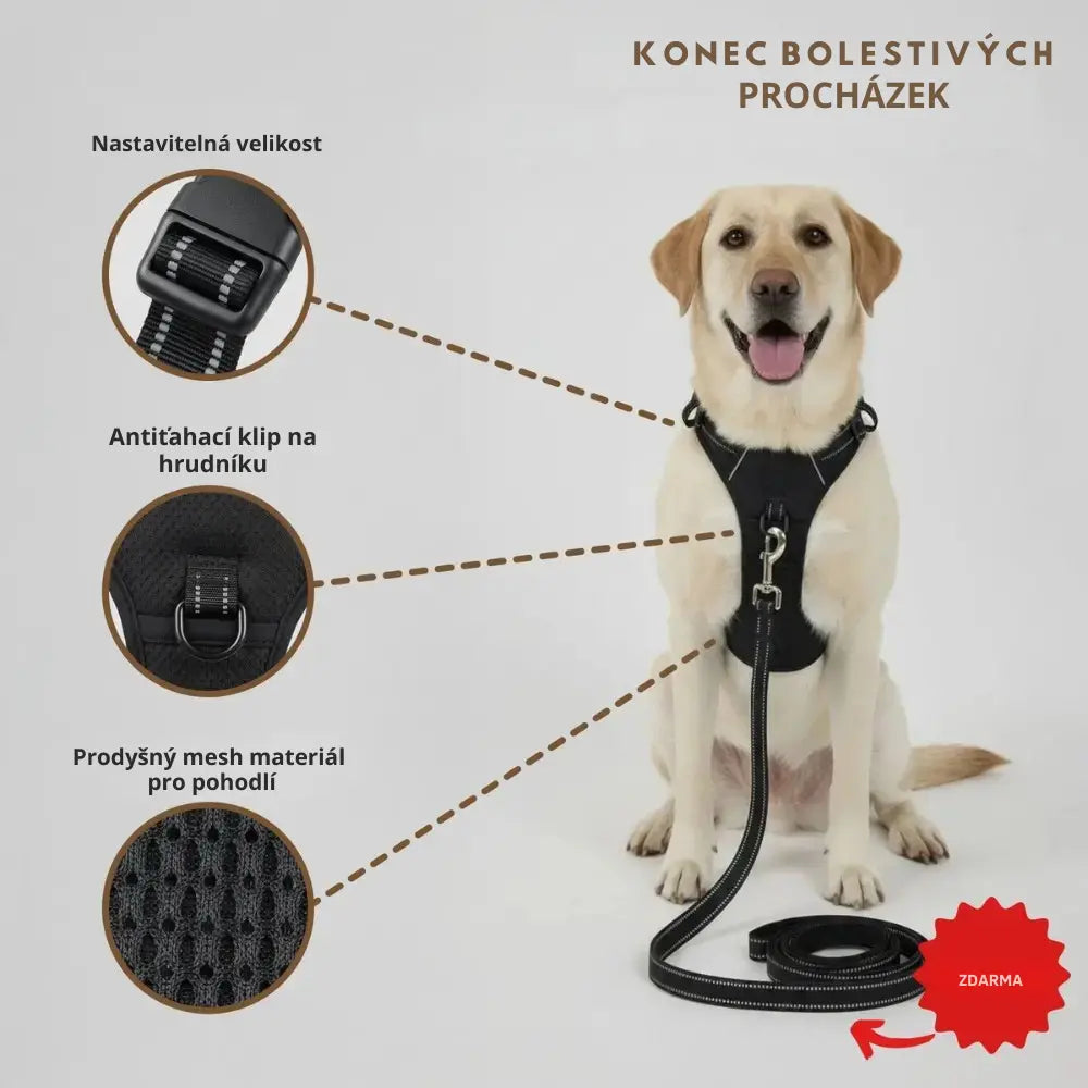 POSTROJ PROTI TAHU DOGVA™