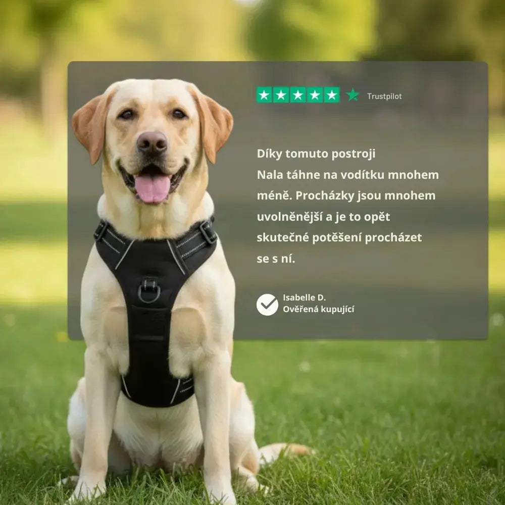 POSTROJ PROTI TAHU DOGVA™