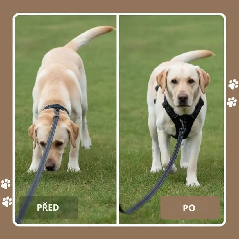 POSTROJ PROTI TAHU DOGVA™